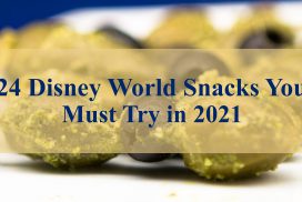 Disney World Snacks 2021